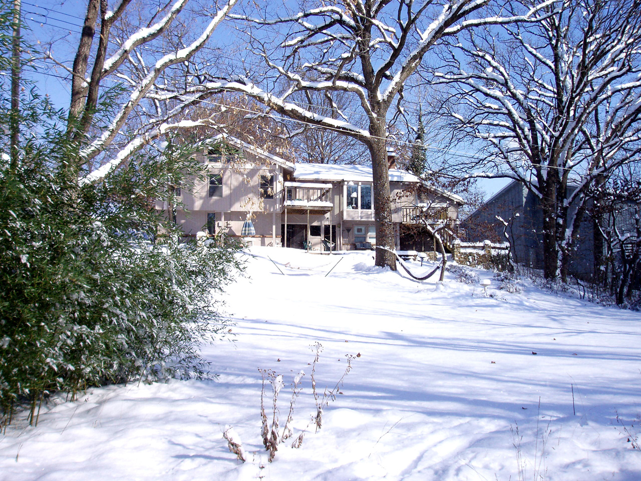 Backyard from West corner looking East