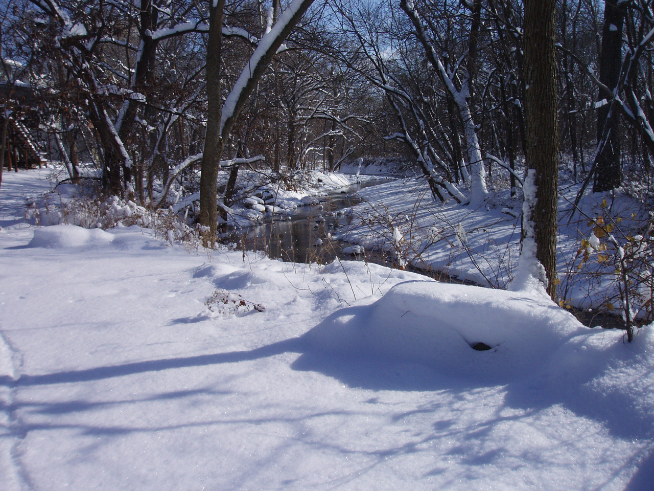 Creek from backyard looking East, downstream