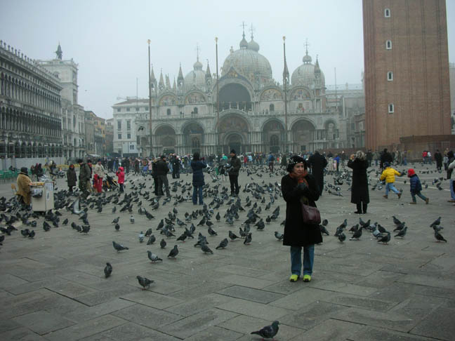 83_San Marco Pigeons