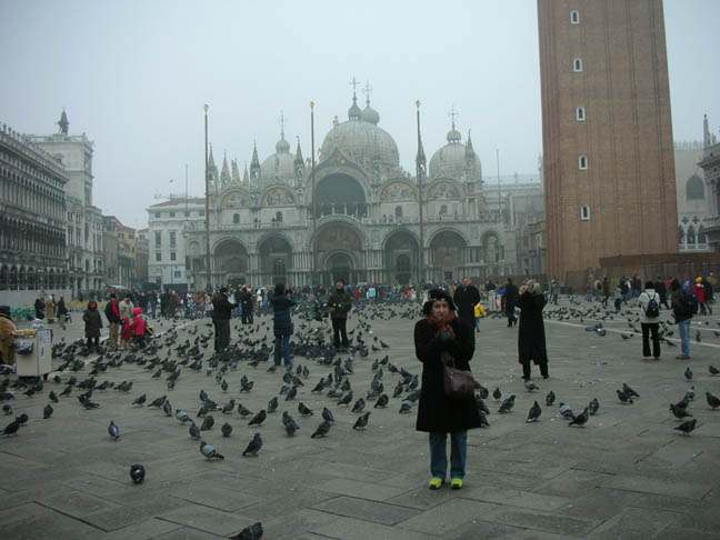 84_San Marco Pigeons