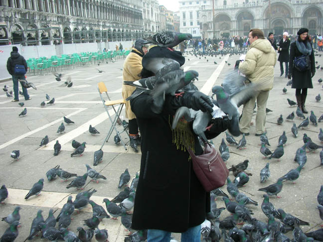 89_San Marco Pigeons