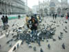 86_San Marco Pigeons