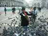 88_San Marco Pigeons