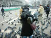 89_San Marco Pigeons